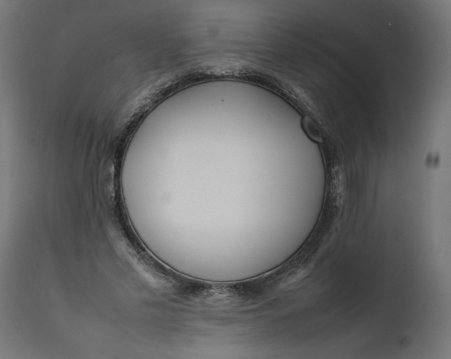 X0000111490589200907281229