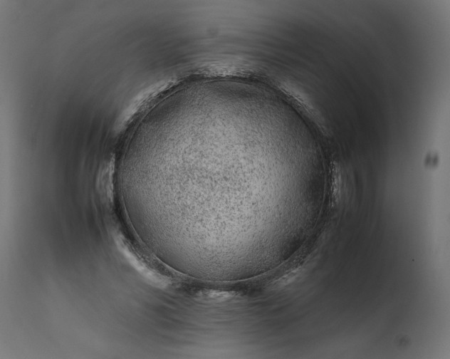 X0000111490590200907281229