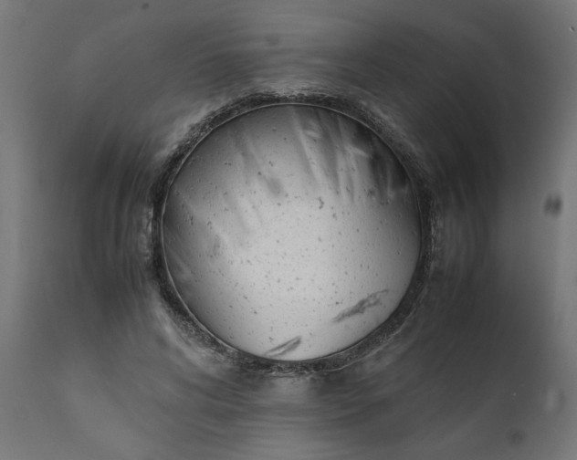 X0000111490592200907281229