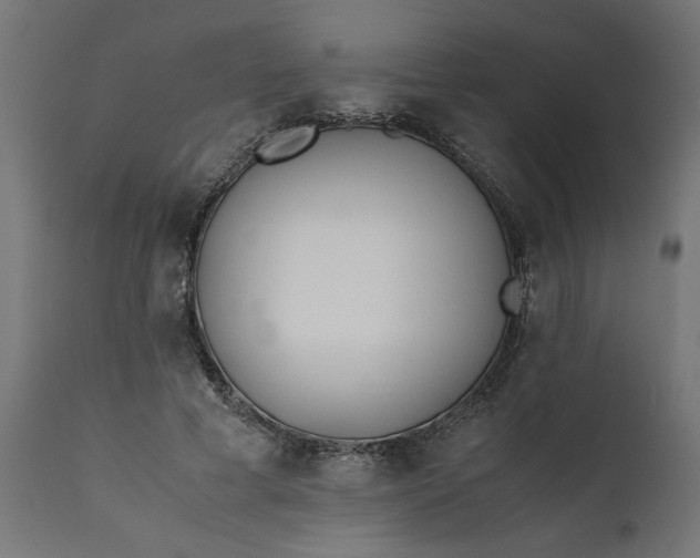 X0000111490593200907281229