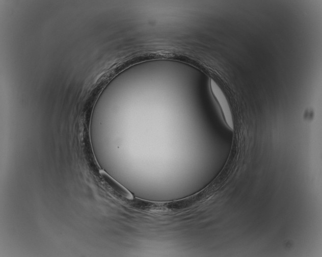 X0000111490595200907281229