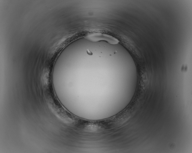 X0000111490596200907281229