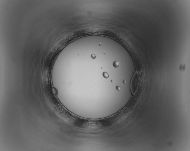 X0000111490597200907281229