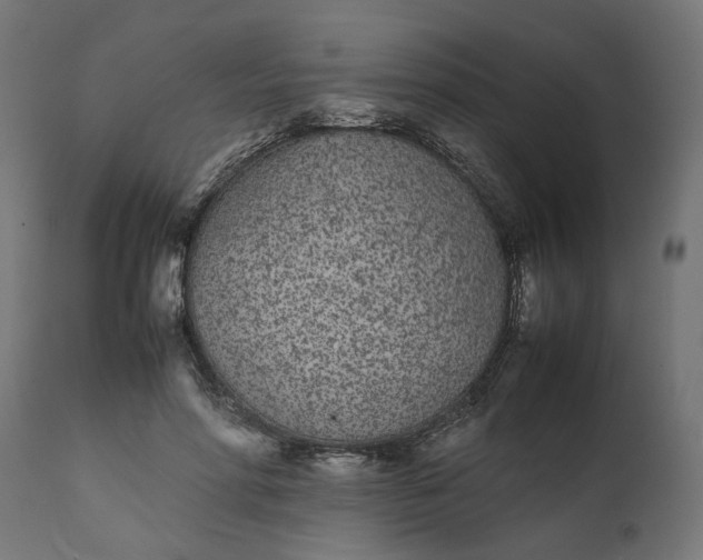 X0000111490598200907281229