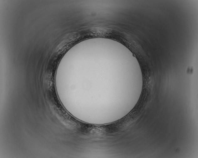 X0000111490599200907281229