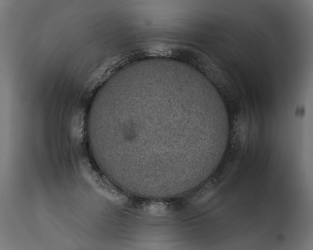 X0000111490600200907281229