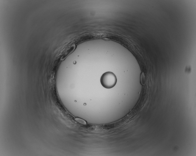 X0000111490601200907281229