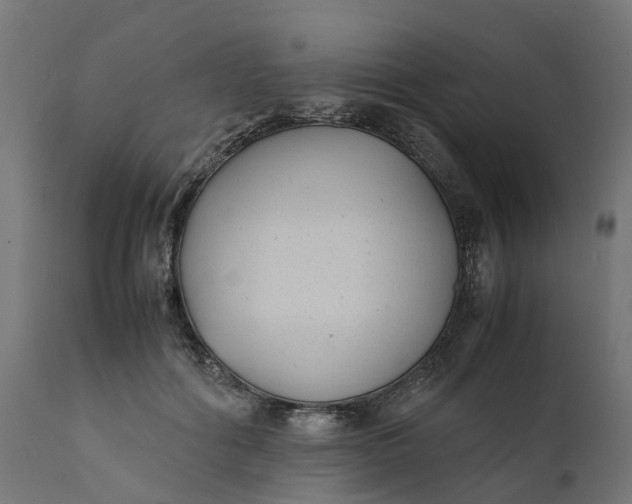 X0000111490602200907281229