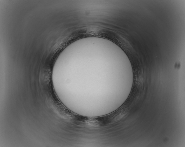 X0000111490603200907281229