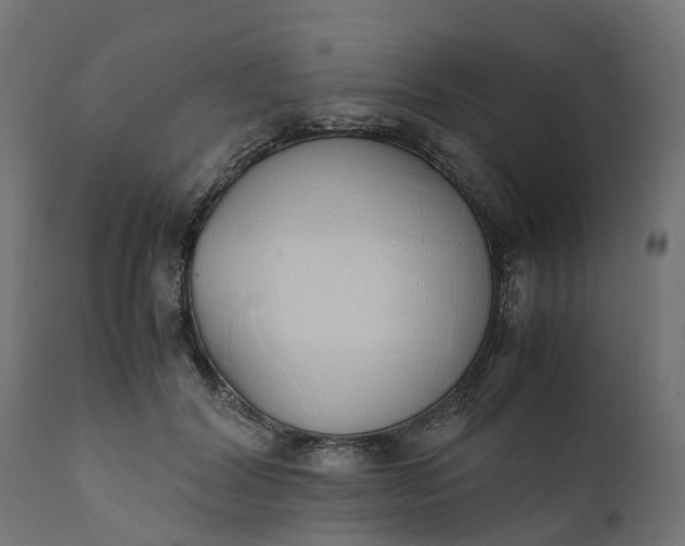 X0000111490604200907281229