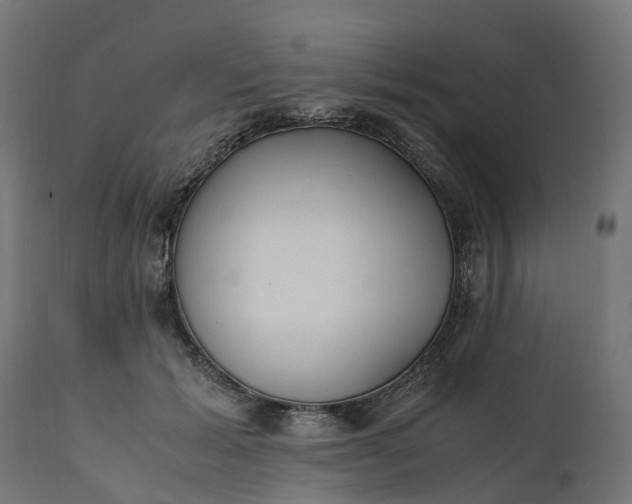 X0000111490605200907281229