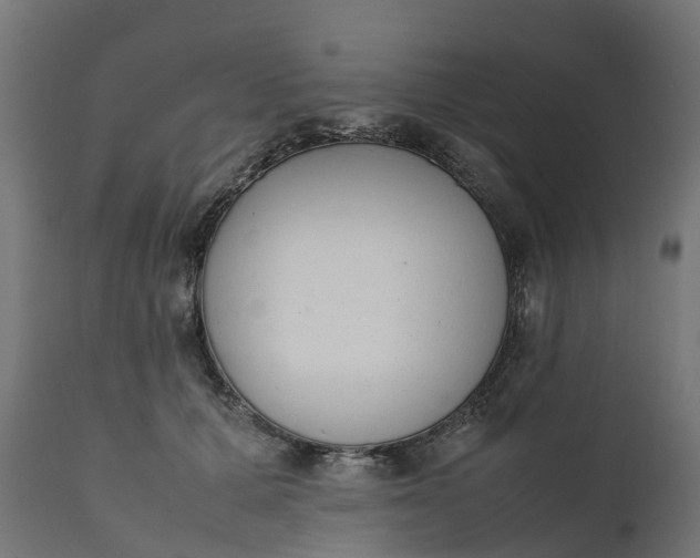 X0000111490607200907281229