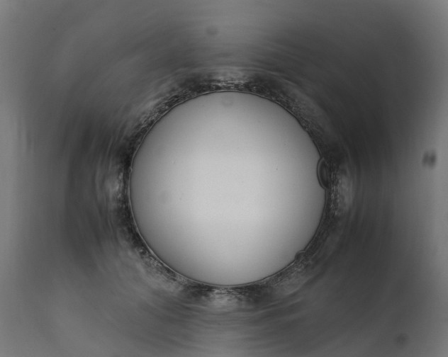 X0000111490608200907281229