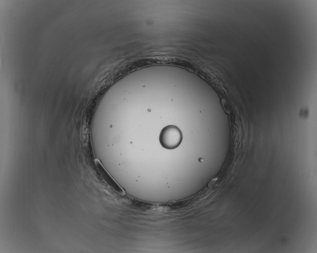 X0000111490609200907281229