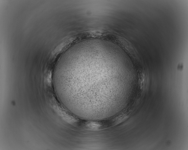 X0000111490610200907281229