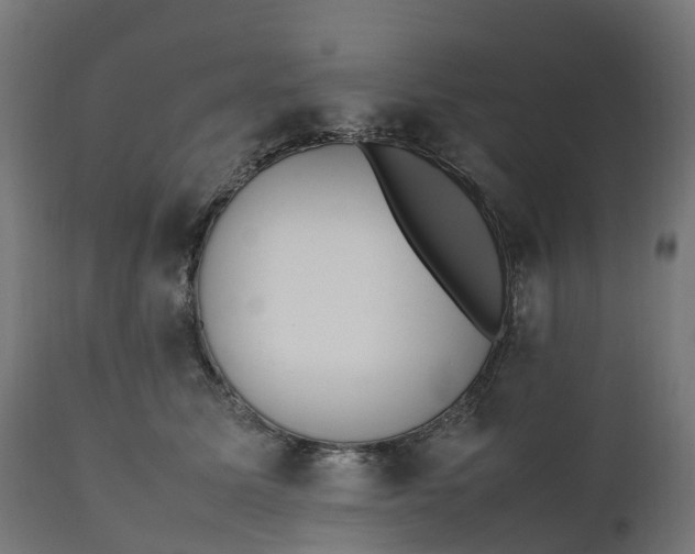 X0000111490611200907281229