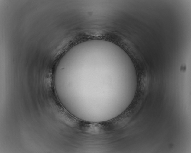 X0000111490612200907281229