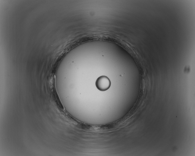 X0000111490613200907281229