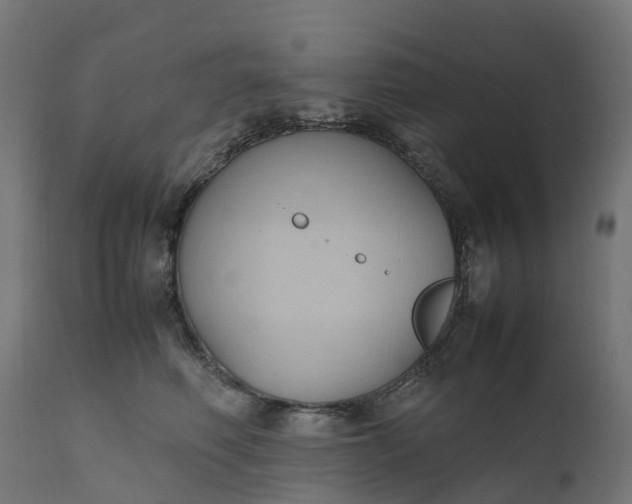 X0000111490614200907281229