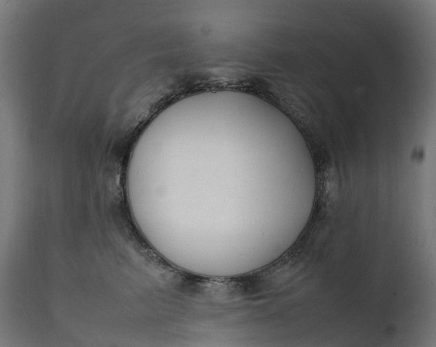 X0000111490615200907281229