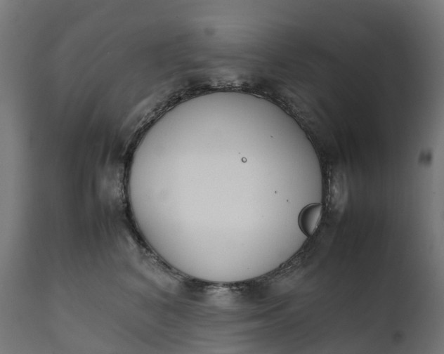 X0000111490616200907281229