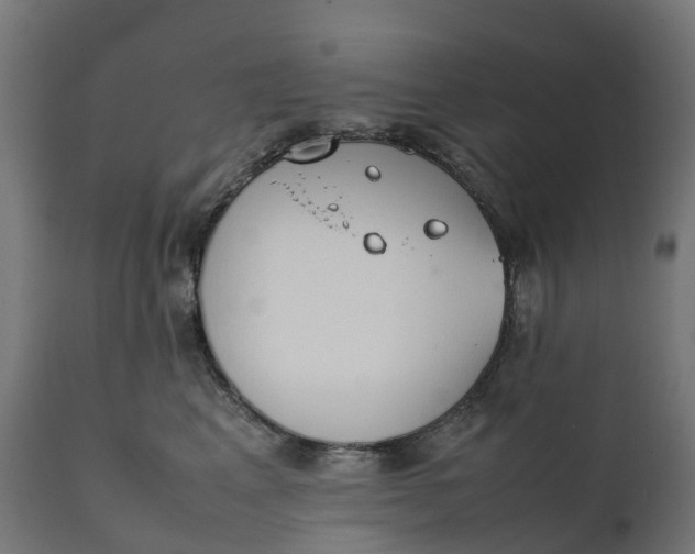 X0000111490617200907281229