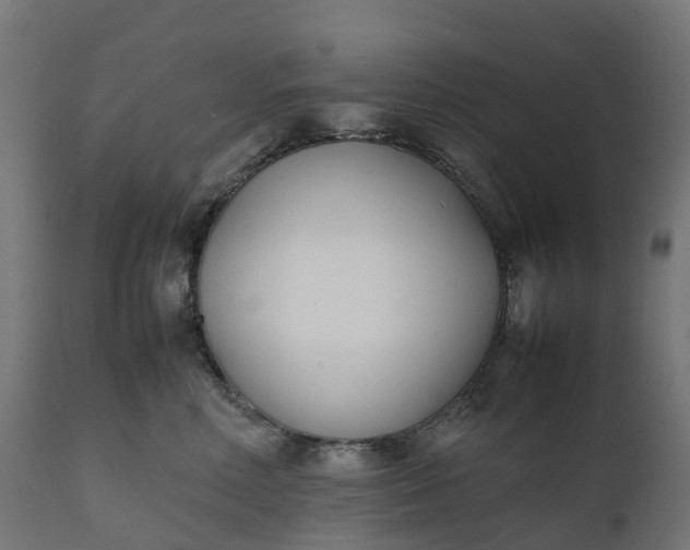 X0000111490618200907281228