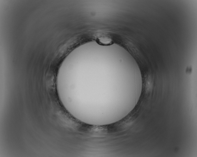 X0000111490619200907281228