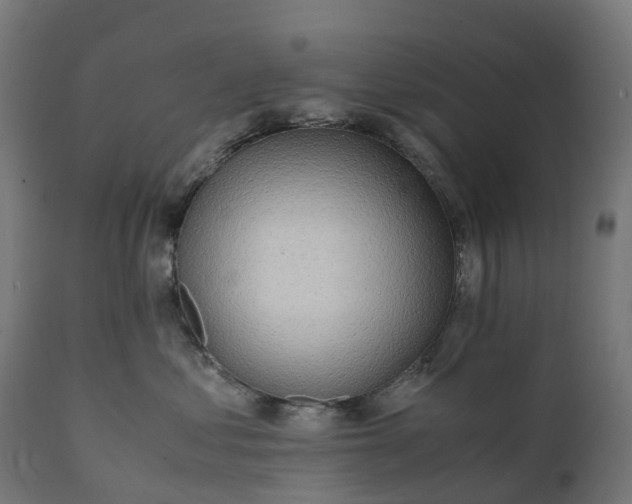 X0000111490621200907281228