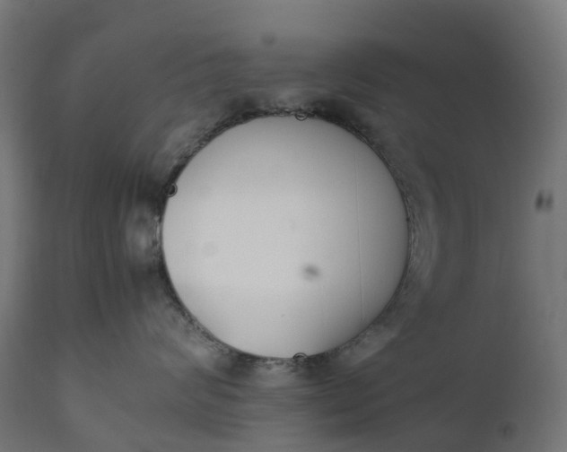 X0000111490624200907281228