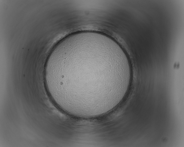 X0000111490625200907281228