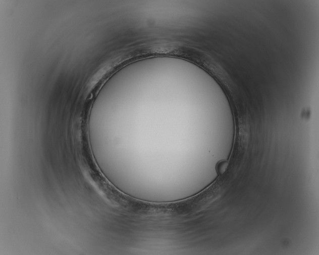 X0000111490626200907281228