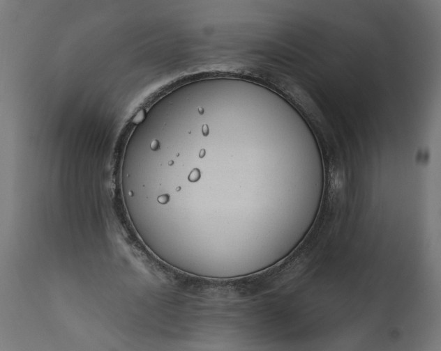 X0000111490628200907281228