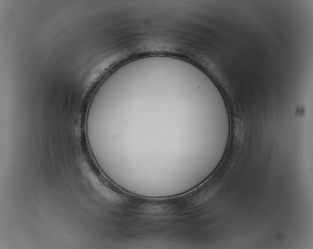 X0000111490629200907281228