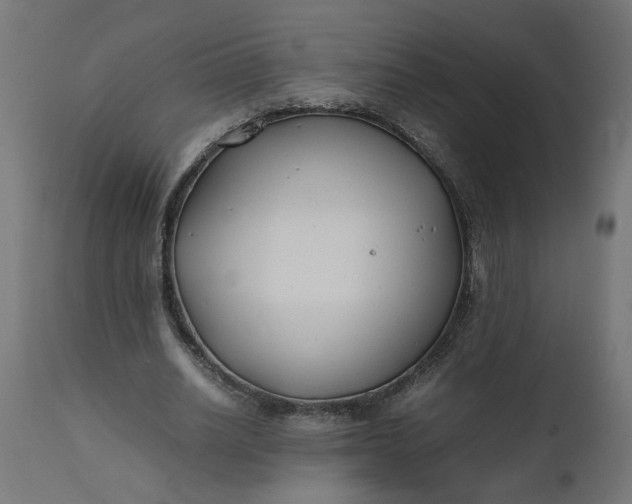 X0000111490630200907281228