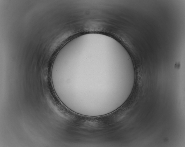 X0000111490631200907281228