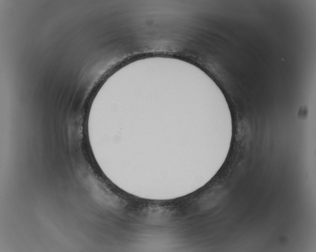 X0000111490632200907281228