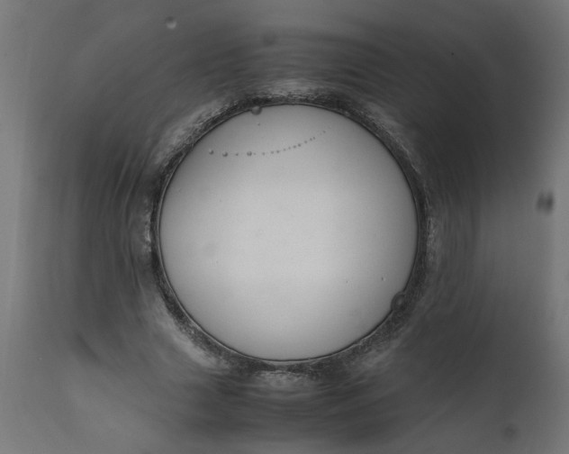 X0000111490633200907281228