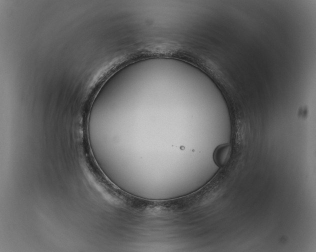 X0000111490634200907281228