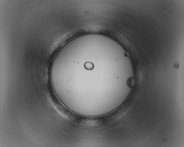 X0000111490638200907281228