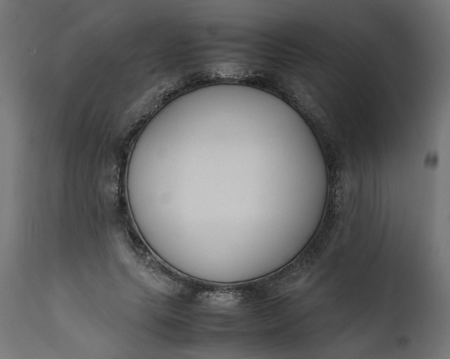 X0000111490639200907281228