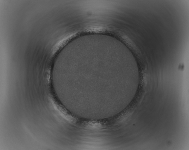 X0000111490640200907281228