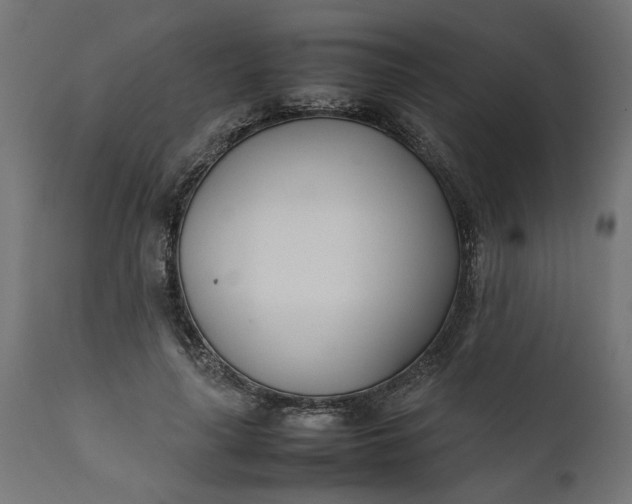 X0000111490643200907281228