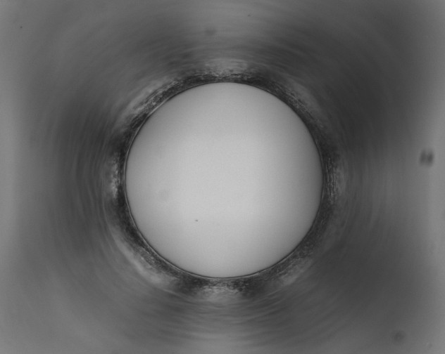 X0000111490644200907281228