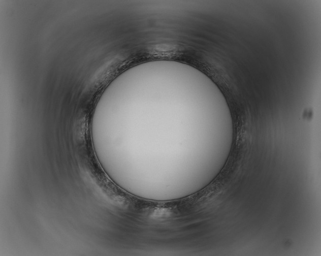 X0000111490647200907281228