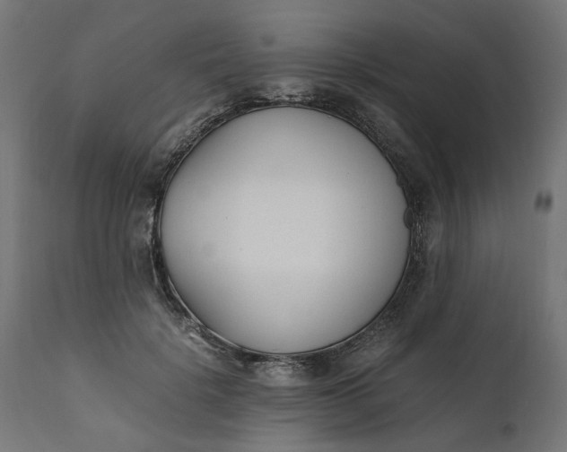 X0000111490652200907281228