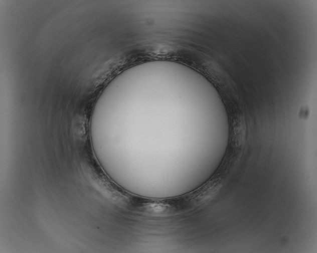 X0000111490654200907281228