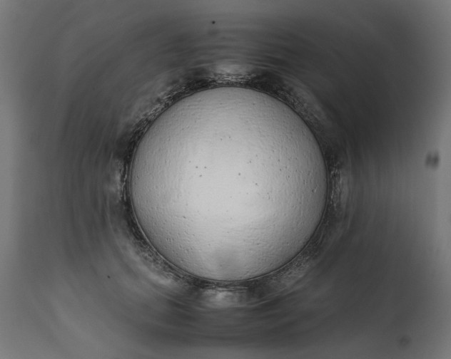 X0000111490655200907281228