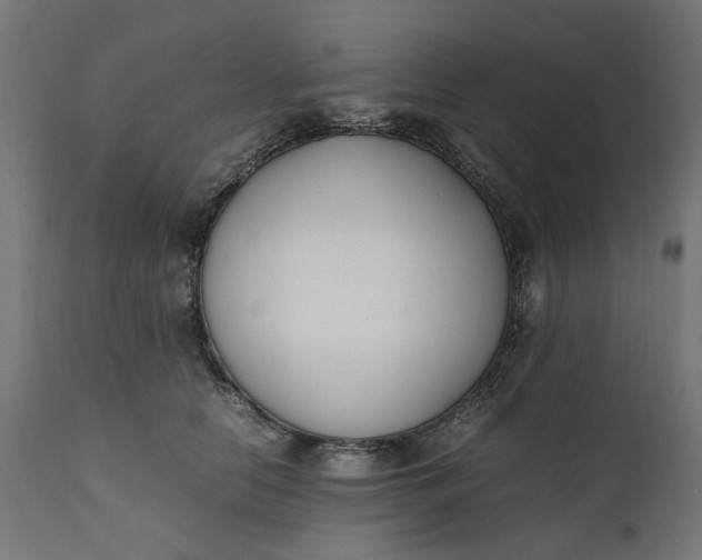 X0000111490658200907281228