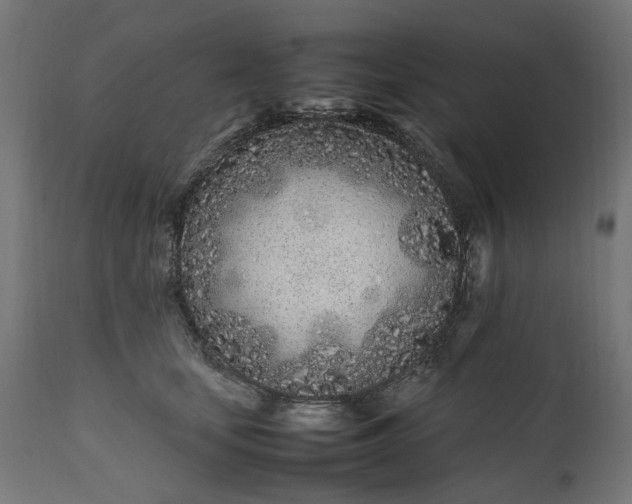 X0000111490659200907281228